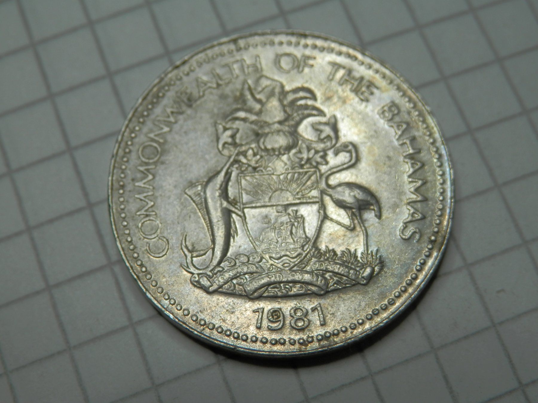Alle Münzen: Bahamas 5 Cent, 1981 – Gebraucht aus Weiach von weiach81