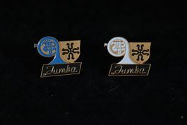PIN‘s