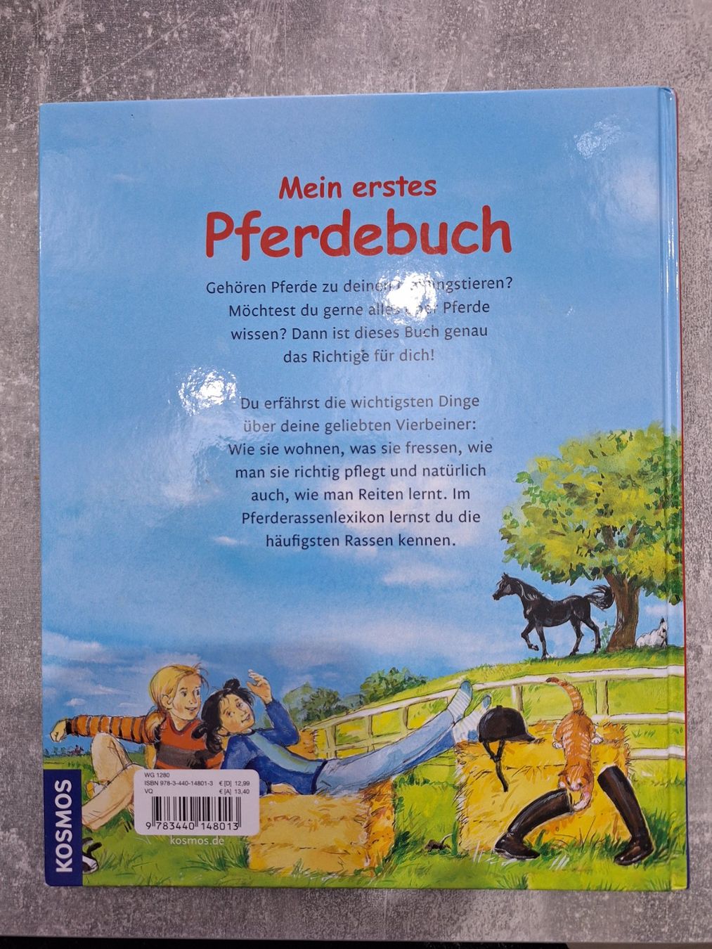 Libri: Mein erstes Pferdebuch – Usato da Egerkingen venduto da Niceli1 1
