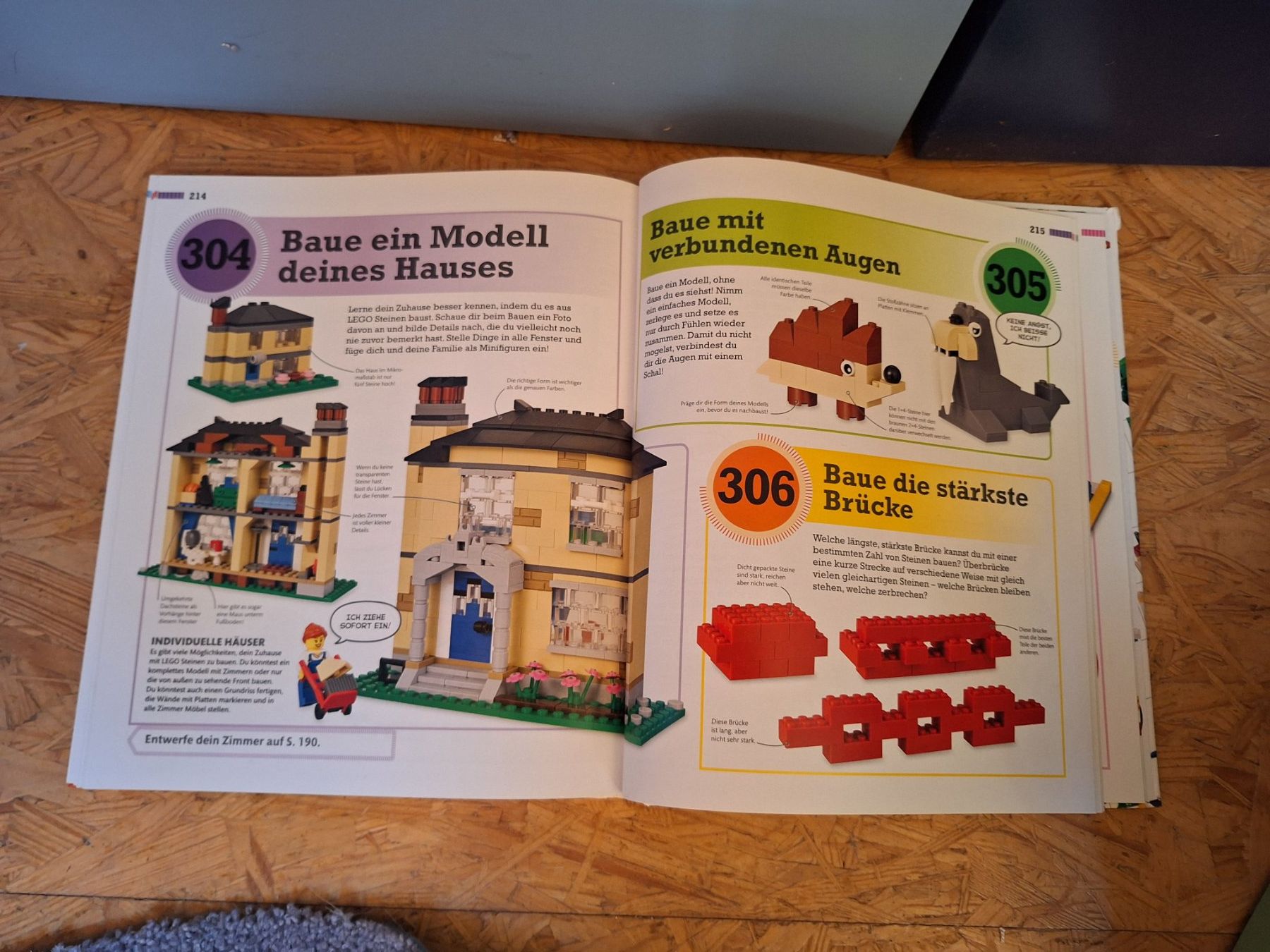 Libri: Legobuch – Usato da Gipf-Oberfrick venduto da Harfenisa 1