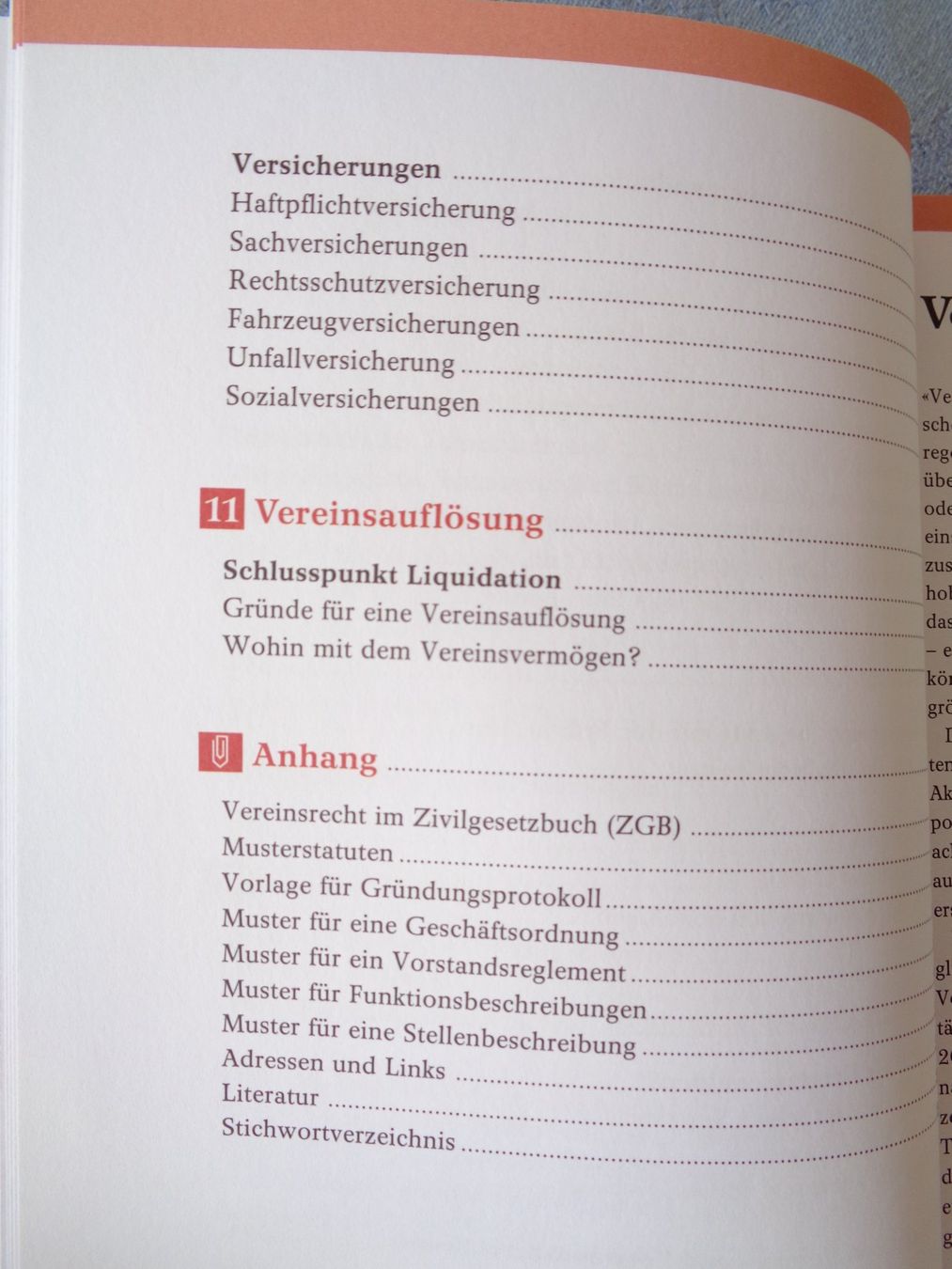 Libri: Erfolgreich im Verein. Daniel Leiser – Nuovo (secondo la descrizione) da Wiesendangen venduto da Gullfoss 7