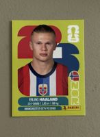 Panini Haaland
