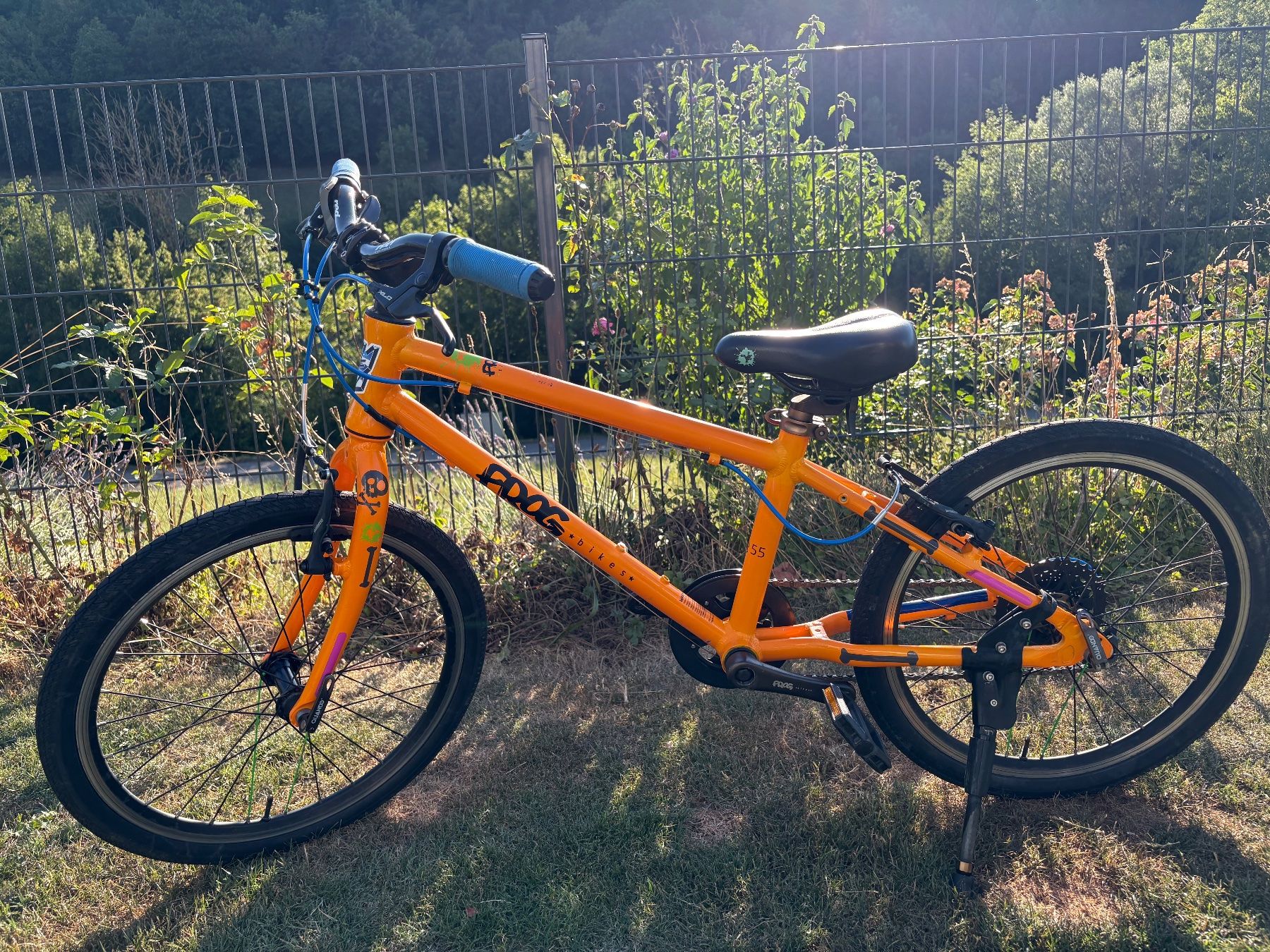 Velos: Frog 20 Zoll Kindervelo – Gebraucht aus Rümlingen von martint01