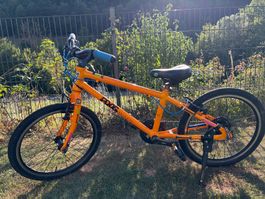 Frog 20 Zoll Kindervelo