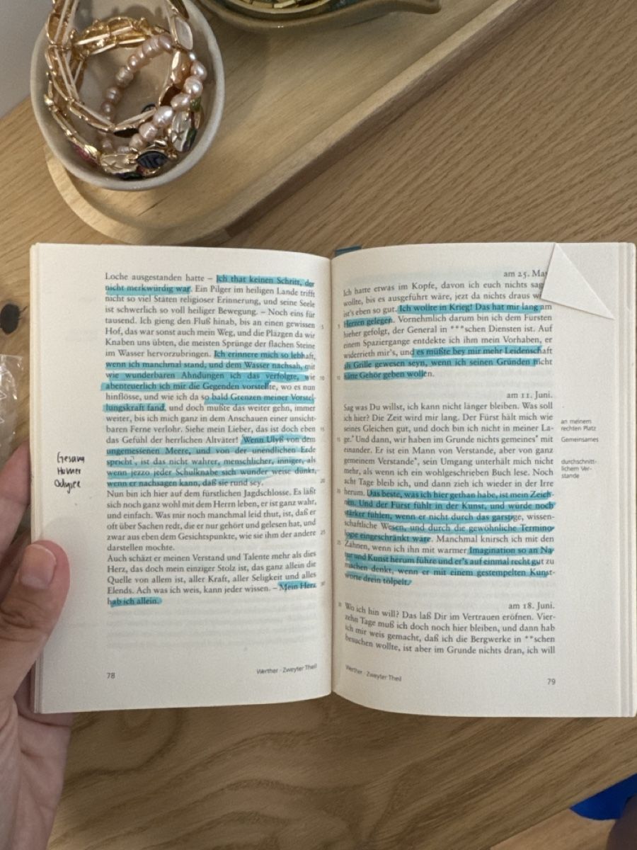 Libri: Die Leiden des jungen Werthers-Goethe – Usato da Netstal venduto da rab_bn2n 1