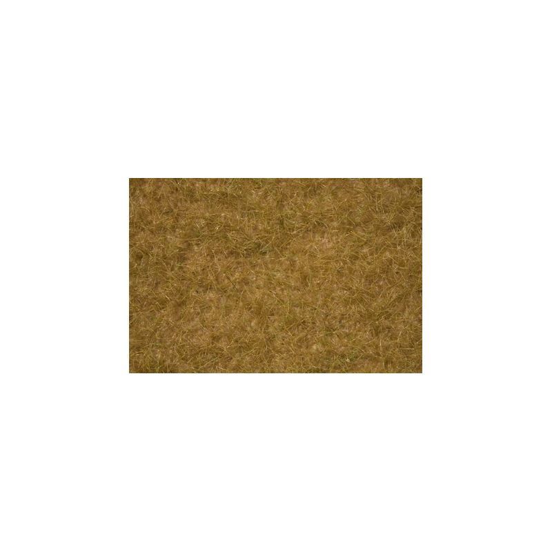 Accessori: Noch 07086 Feldgras ockerbrau 30g Beutel – Nuovo e nell'imballaggio originale da Oberurnen venduto da Zueger_Modellbahnen 1