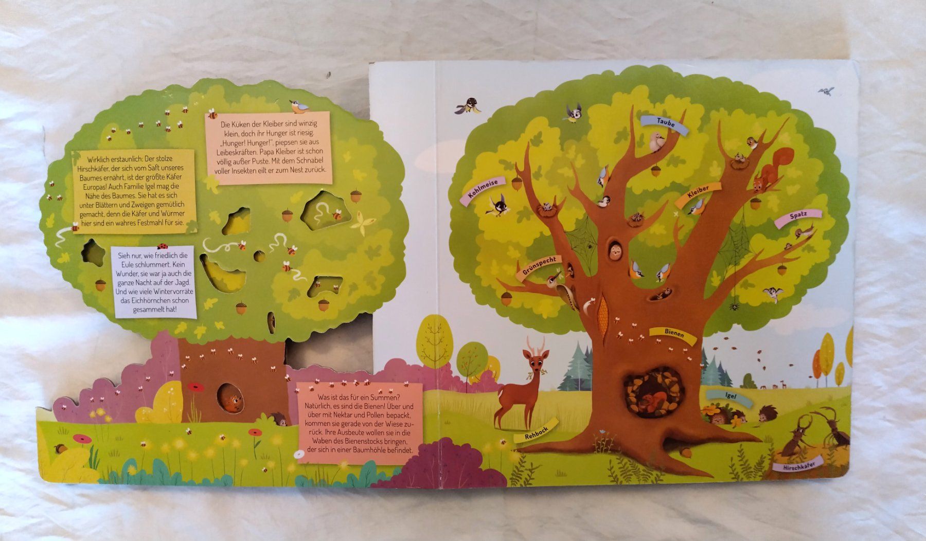 Bücher: Der Baum / Fensterpappenbuch ab Fr. 8.- – Gebraucht aus Bellach von JingleJerry 3