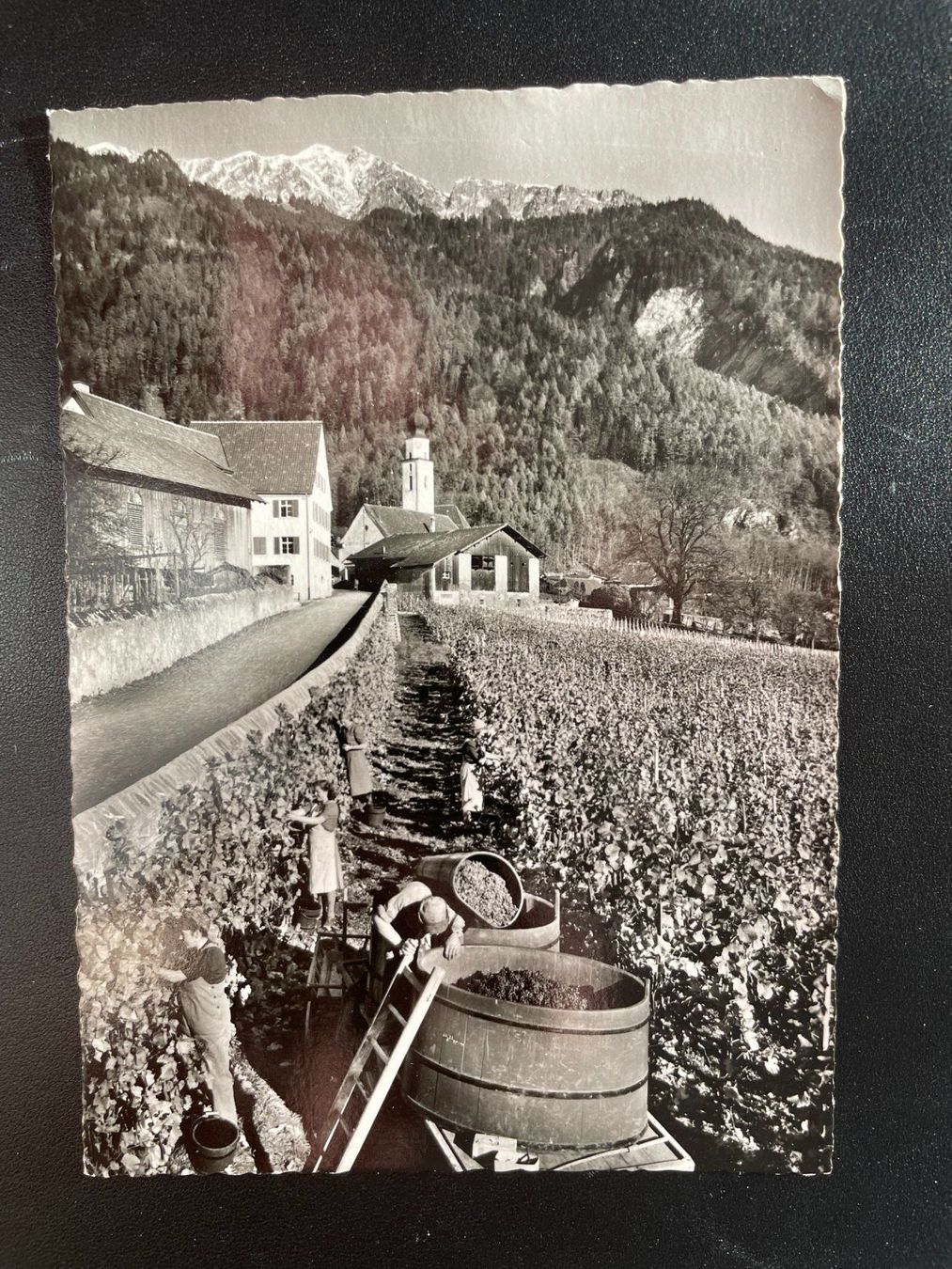 Cartoline postali: AK GR Jenins, Weinlese – Usato da Thal venduto da Danny82