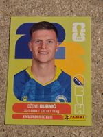Panini FIFA WORLD CUP 2026 BIH 14 Dzenis Burnic