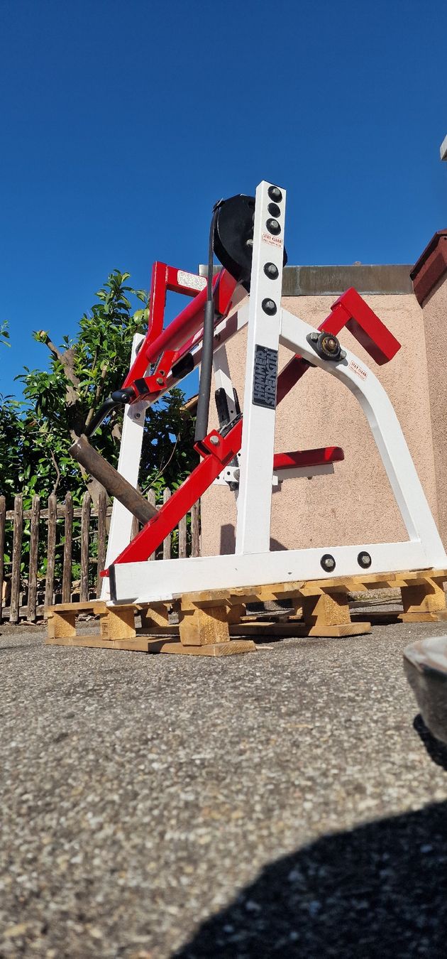 Hometrainer: Hammer Strength Bizepsmaschine – Usato da Aarau venduto da shq_869r 3