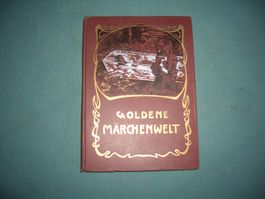 Buch Goldene Maerchenwelt 1927 guter Zustand