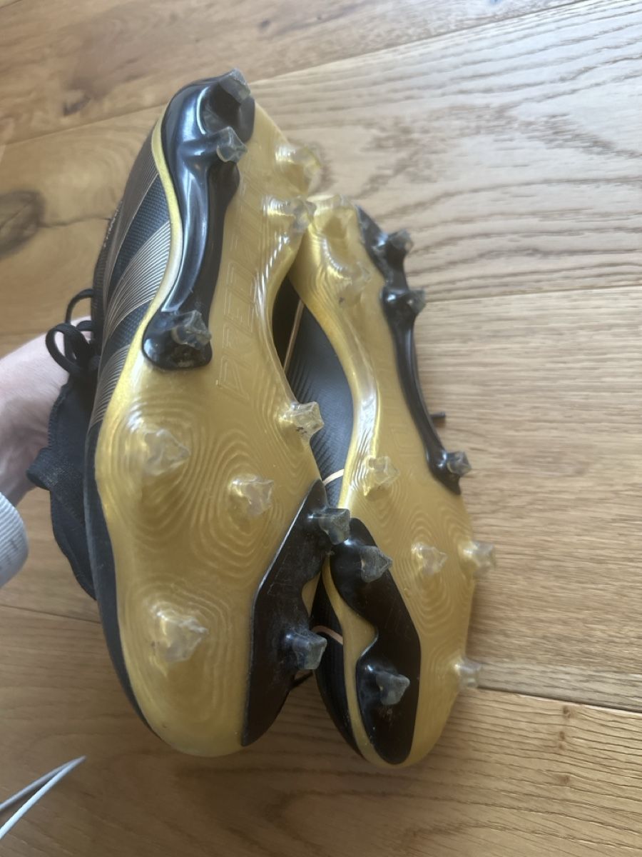 Sonstiges zum Bergsteigen & Wandern: Crampons Predators – Gebraucht aus Founex von reb_fws9 3