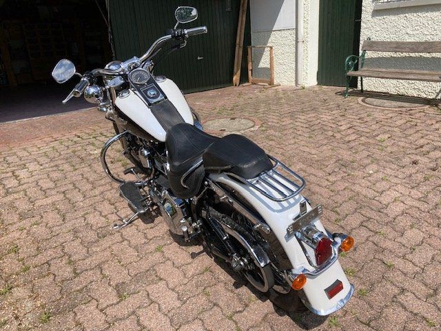 Harley-Davidson Touring: Harley Davidson FLSTNI – Usato da Gossau ZH venduto da lordinio 2