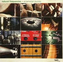 Natural Frequencies ORNAMENTAL JOURNEY Ambient Jazz Rock CD