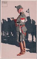 Schweizer Armee, Felduniform Major (2108)