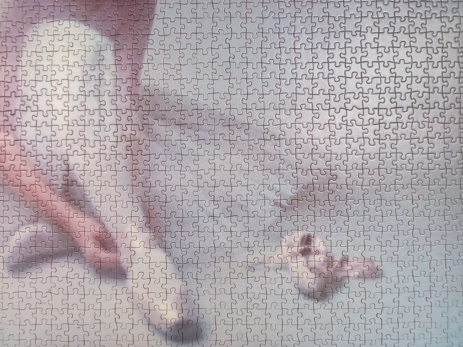 Foto & Immagini: Puzzlebild "Ballerina" gerahmt – Usato da Suhr venduto da Restwert_Suhr 2