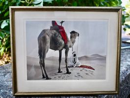 handkoloriertes Foto TUAREG um 1940 gerahmt STAUFFER Zürich