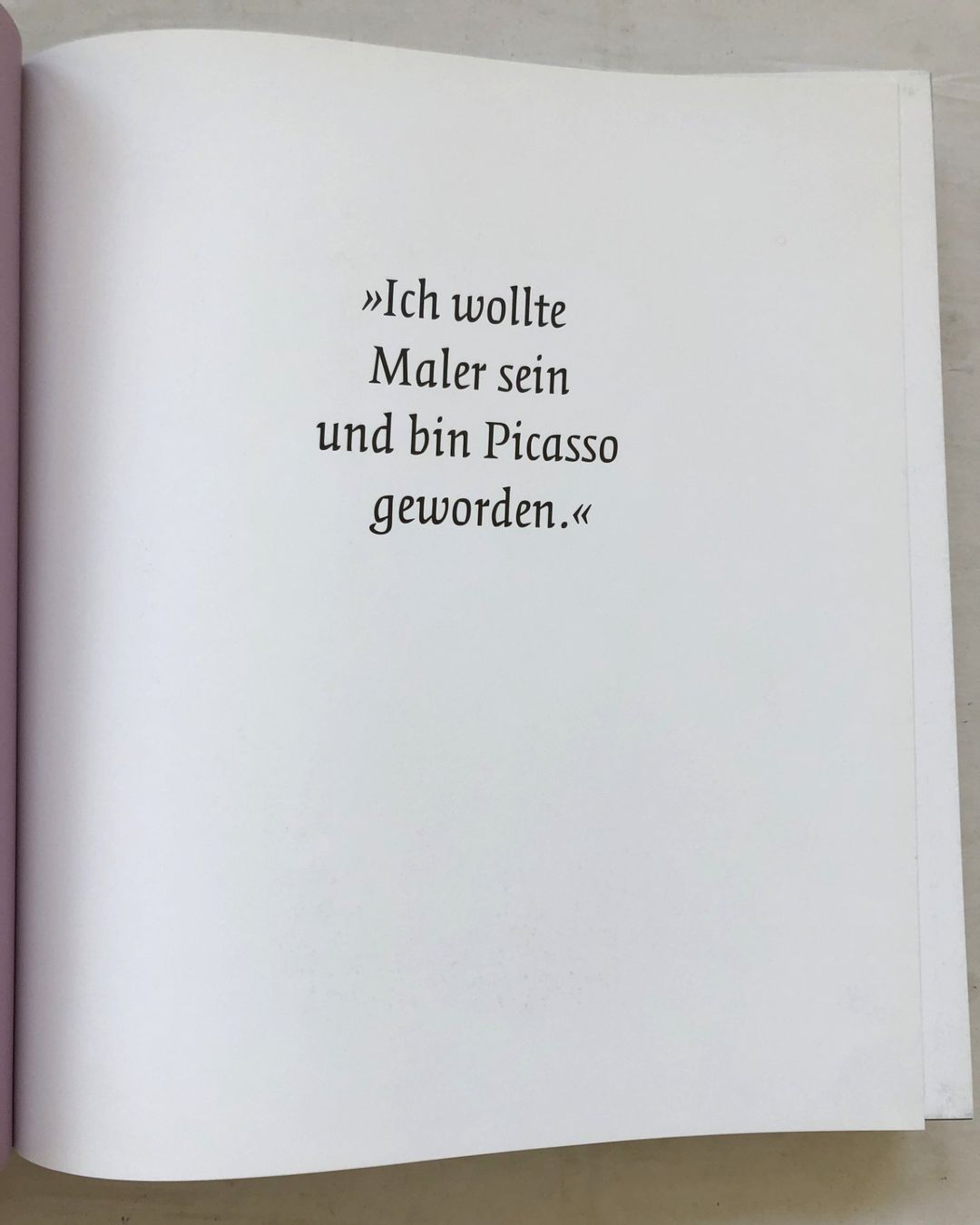 Bücher: Picasso - Blaue und Rosa Periode [Kunstband] – Gebraucht aus Schaffhausen von durruti 2