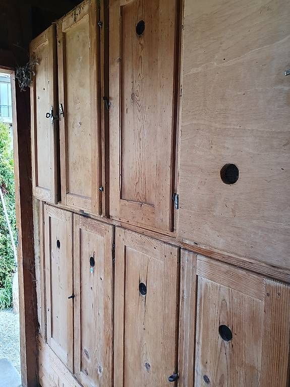 Bienenhäuser: Bienenkasten – Gebraucht aus Urtenen-Schönbühl von der_blaue_Hase 3