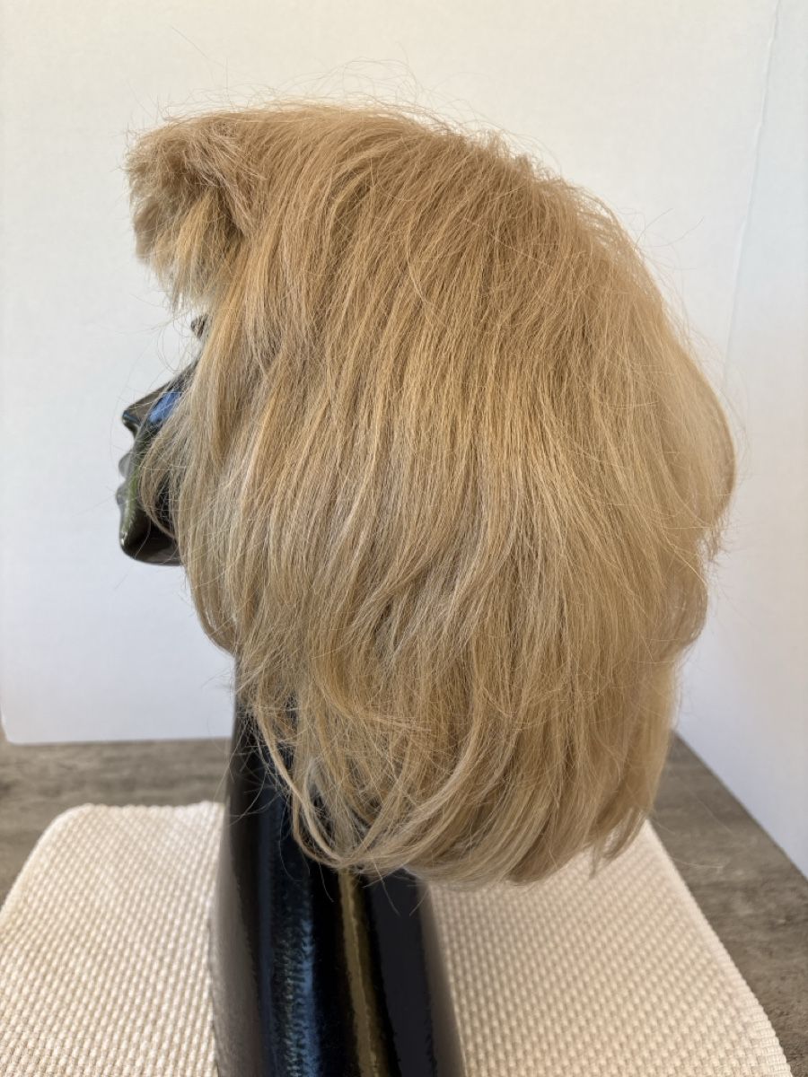 Perücken: Perücke blond / syntetisches Haar – Neu (gemäss Beschreibung) aus Rümlang von euqinom16 1