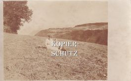Junges Paar auf der Wiese (Echtfoto) /bc
