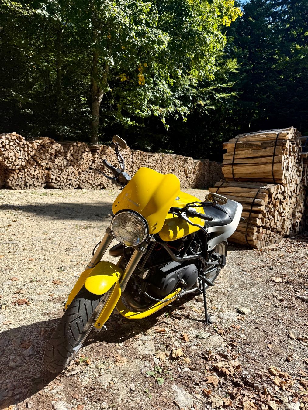 Buell Strasse: BUELL X1 Lightning – Gebraucht aus Zürich von Josh_Wonka 2