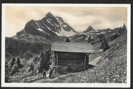 Braunwald Teilansicht