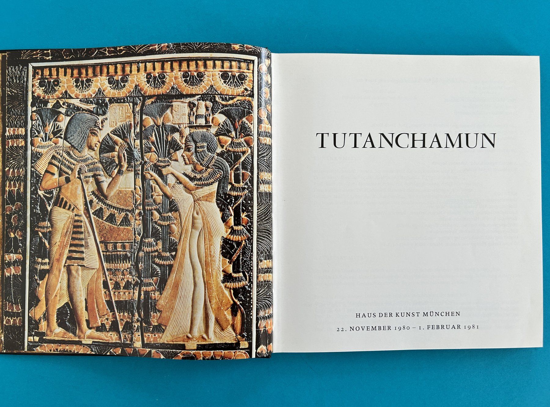 Libri: TUTANCHAMUN – Usato da Zürich venduto da Domus09 2