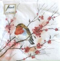 Serviette birdy robin (t274) 2Stk.