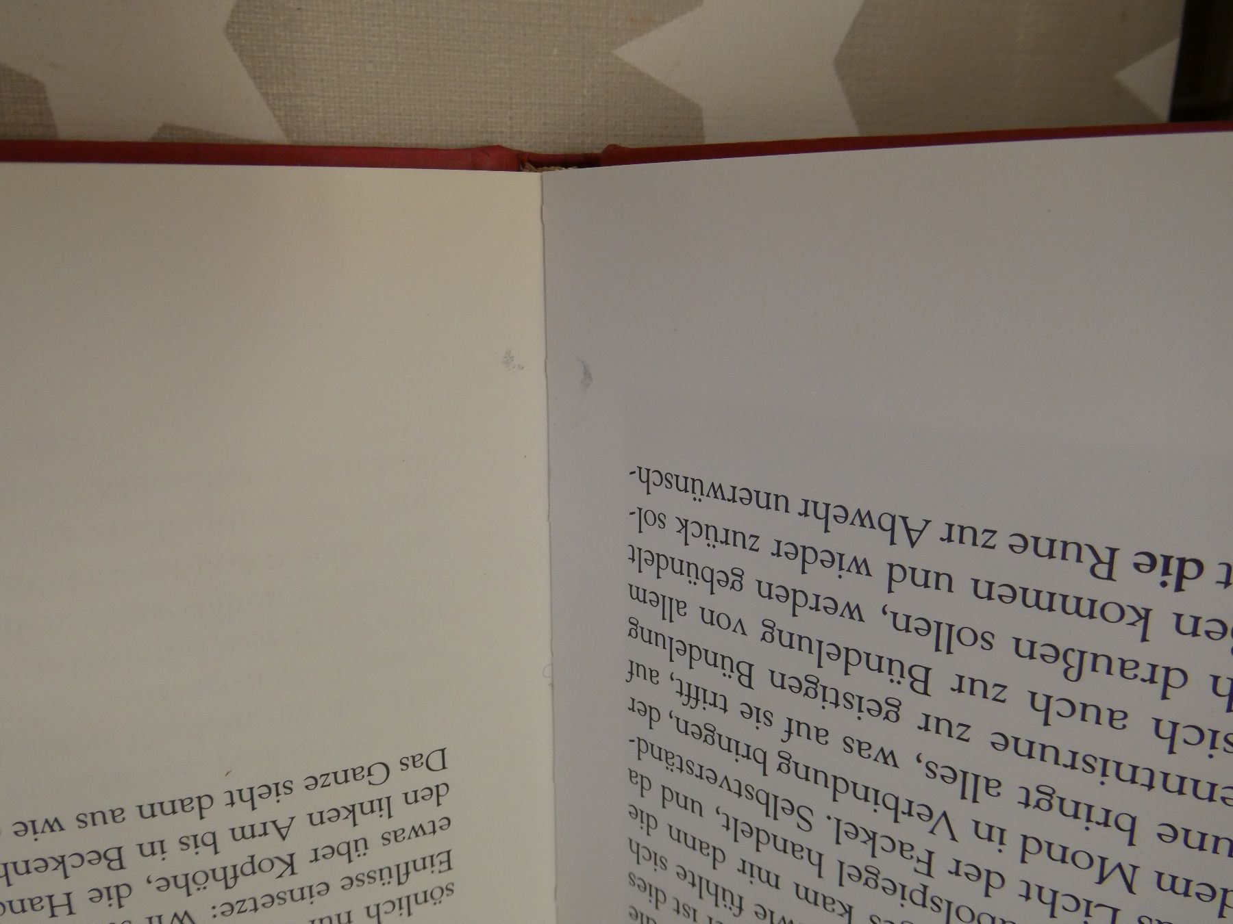 Bücher: Buch: Runen - Welten Igor Warneck – Gebraucht aus Rafz von Powacaddy 6