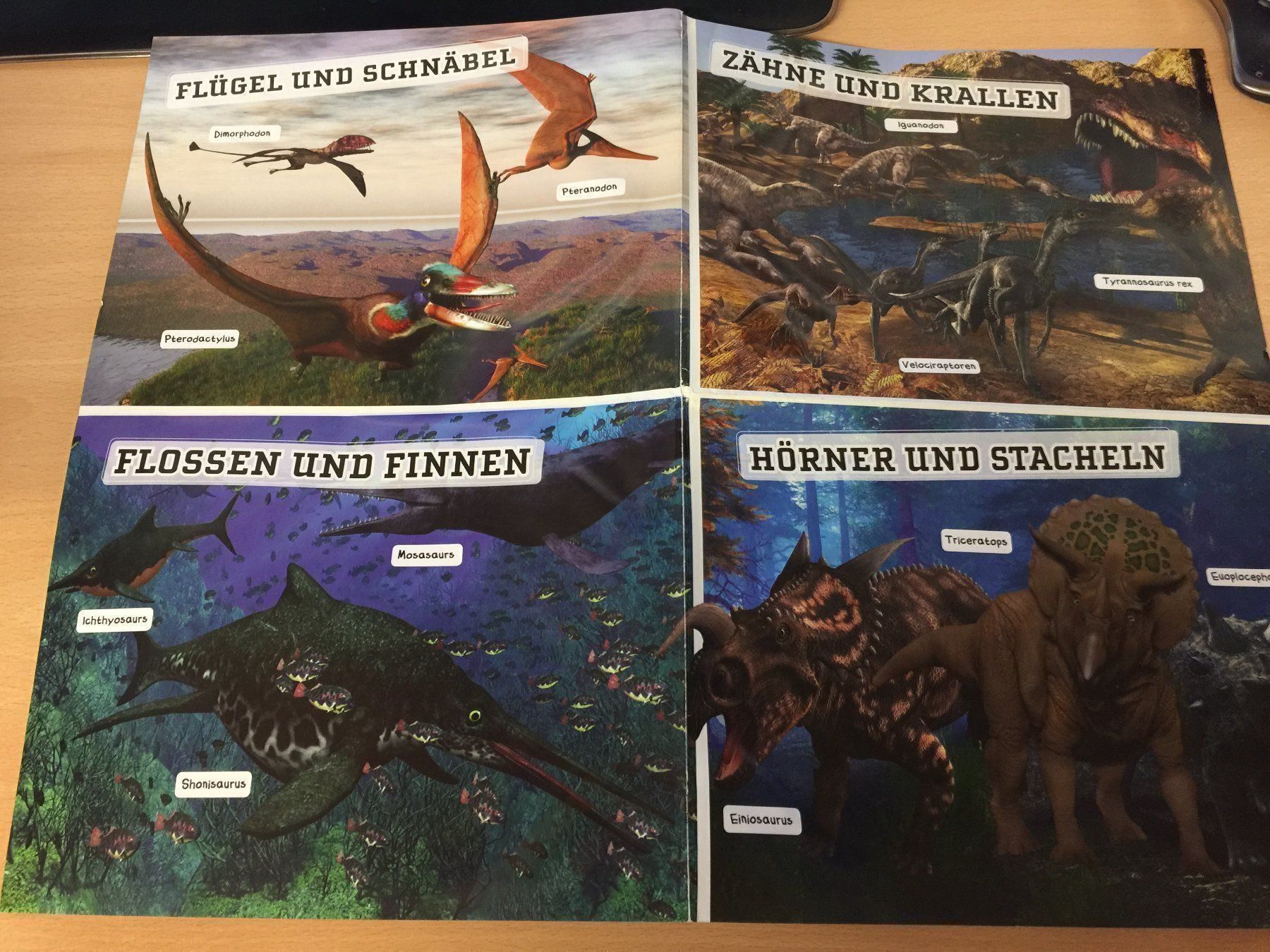 Libri: Warum hatten Dinosaurier Schuppen? – Usato da Glattfelden venduto da cybermaxx 9