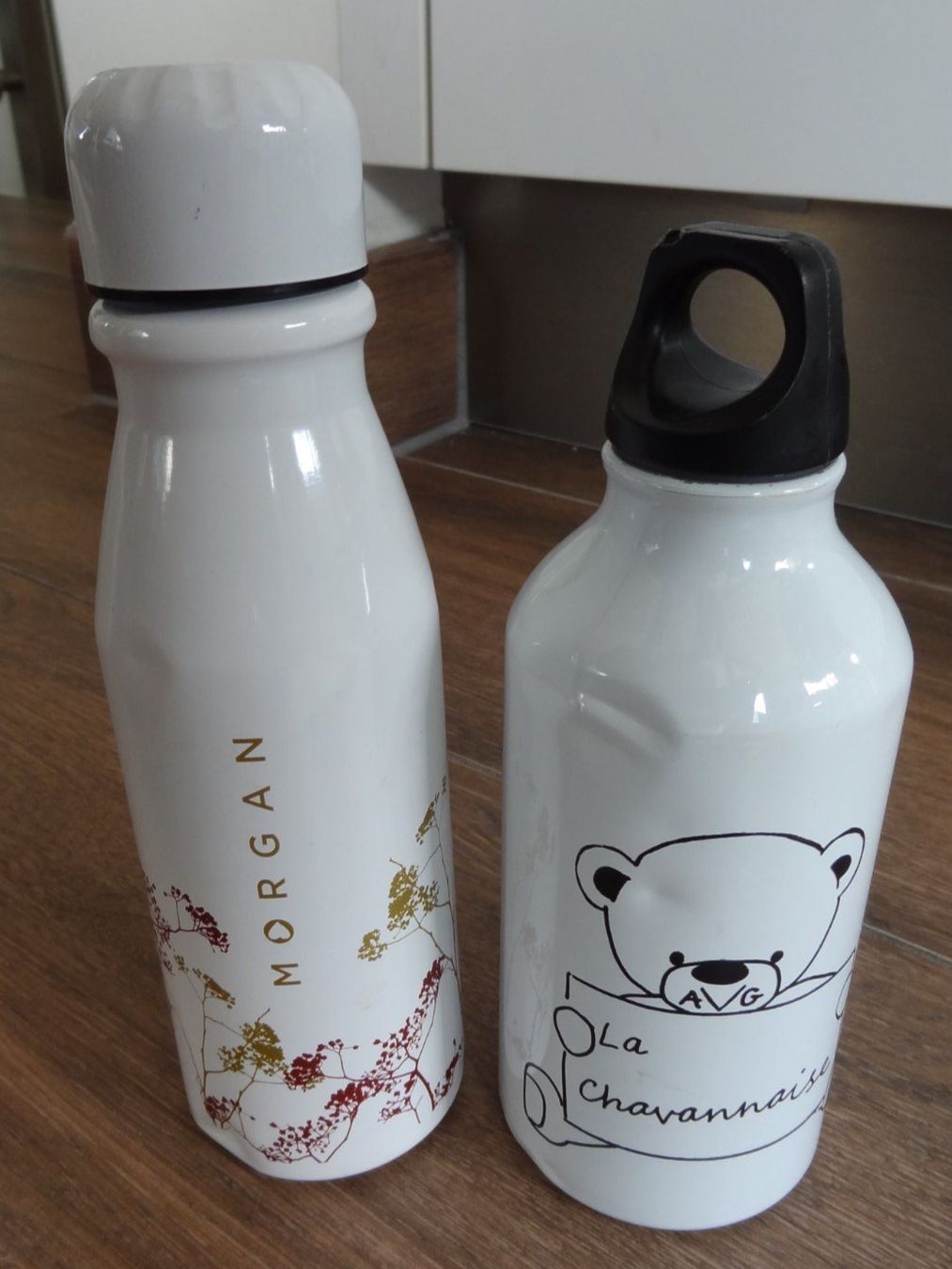 Borracce & Thermos: Lot de 2 gourdes ! – Usato da Satigny venduto da salvatore73