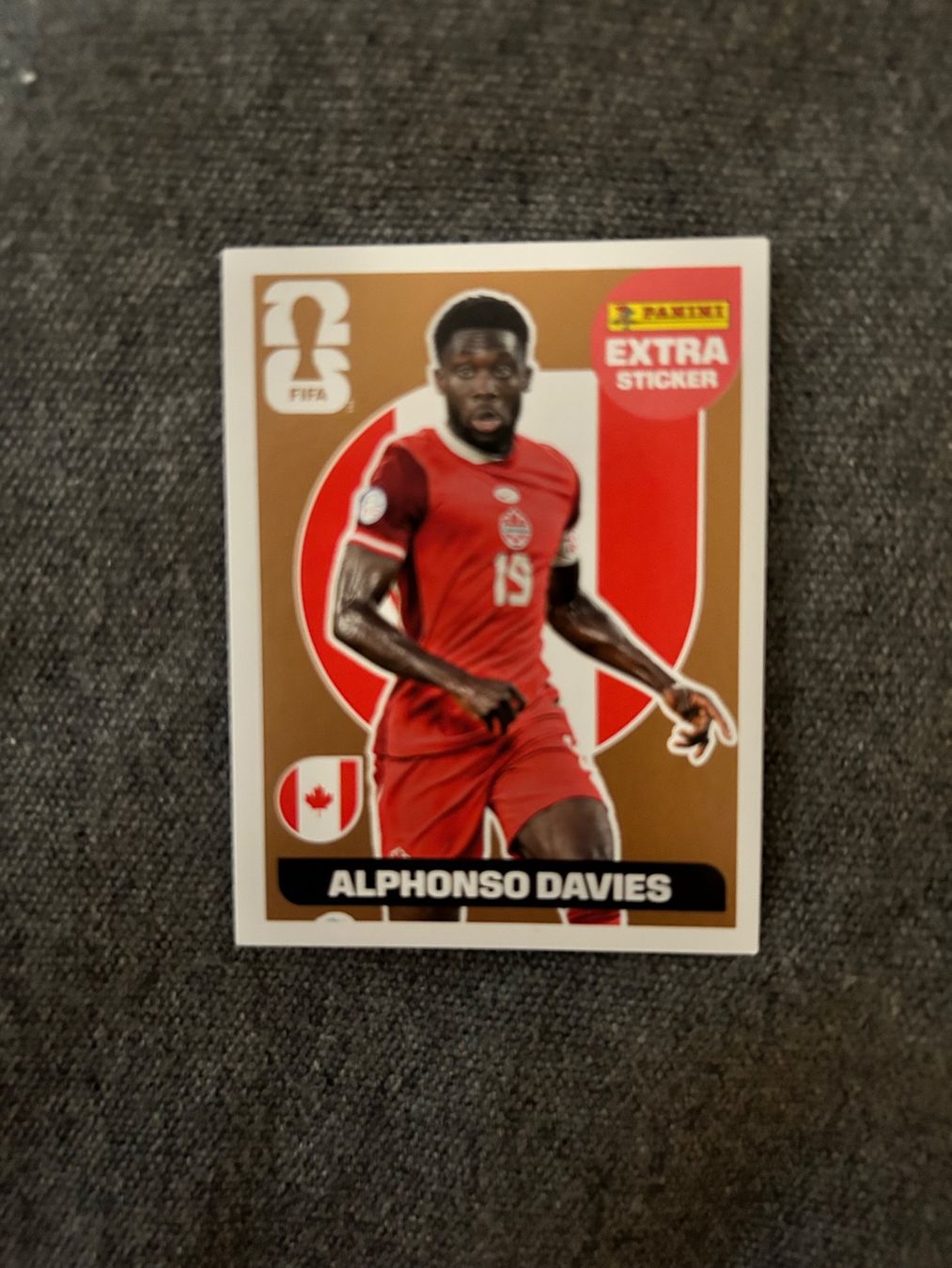 Panini Carte collezionabili: Panini extra sticker Davies – Nuovo (secondo la descrizione) da Genève venduto da annedev
