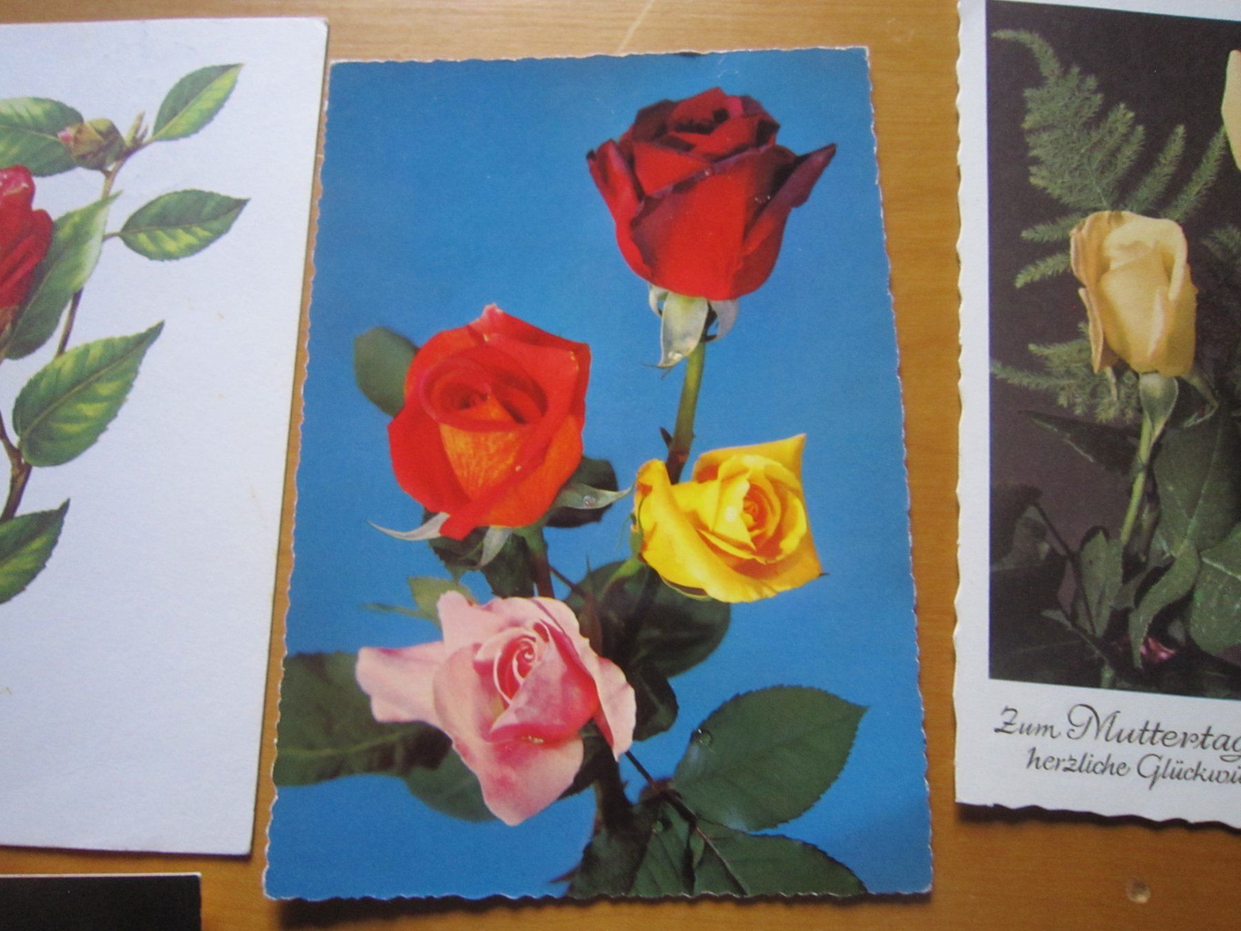 Cartoline postali: No1 schöne Postkarten Thema Rosen – Usato da Gordola venduto da Polentaefung 5