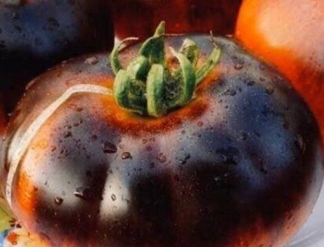 Plantes & graines: “NOIRE DE CRIMÈE”  30 SAMEN TOMATE‪ – Neuf avec emballage d'origine à Rovio par POSITIFFARTandPLANTS