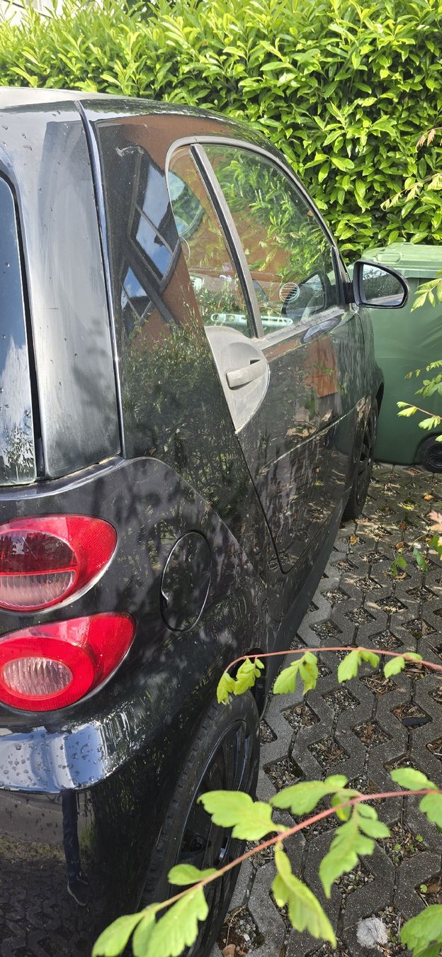Smart Automobili: SMART fortwo coué mhd – Usato da Erschwil venduto da Yathin 4