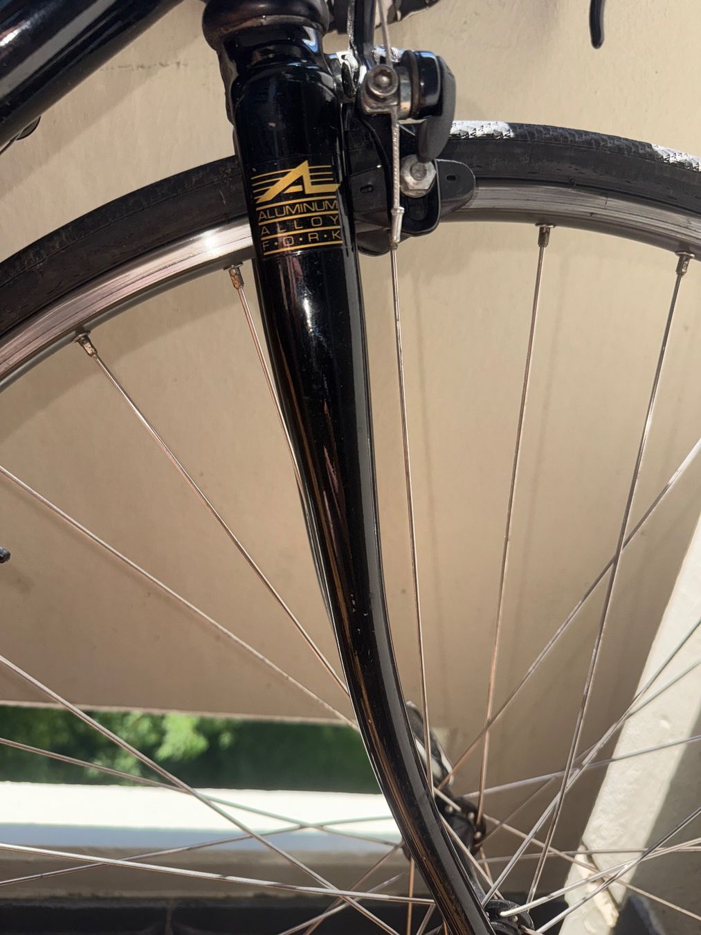 Cannondale Biciclette: Cannondale 3.0 Road Race Black Lightning – Usato da Zürich venduto da Perowe 8