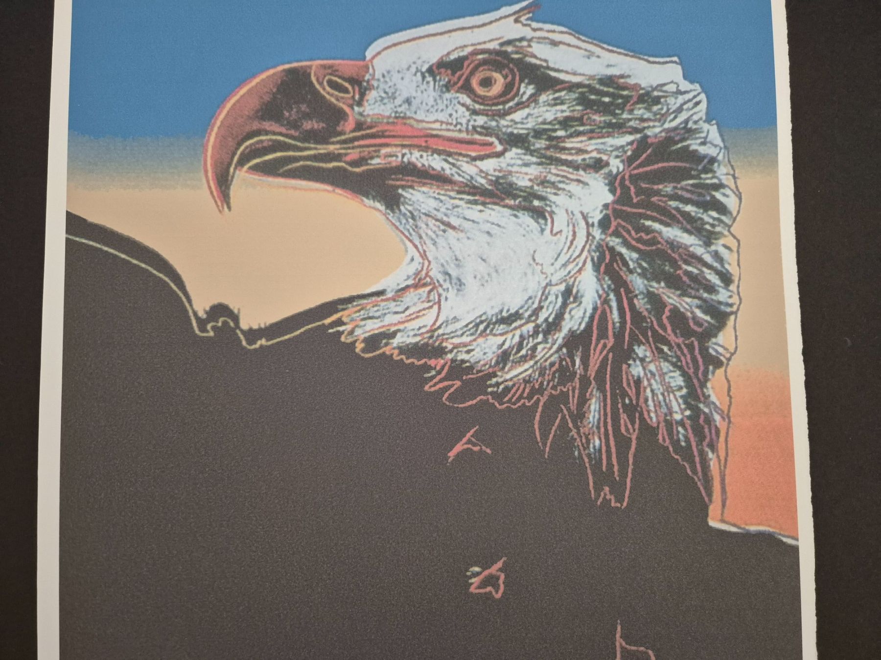Foto & Immagini: Andy Warhol, Eagle 37/100 – Usato da Staufen venduto da saerdna81 3