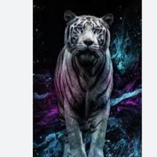 Profile image of Mike_UA