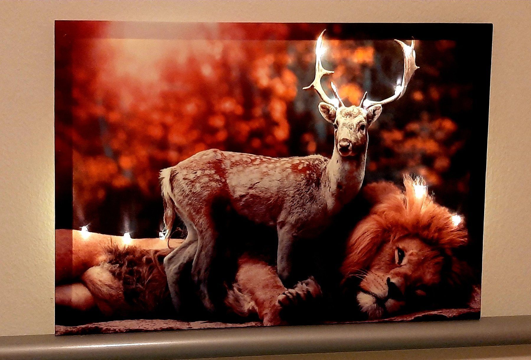 Cornici: Kunstbild LED Hirsch Und Löwe – Nuovo e nell'imballaggio originale da Kilchberg ZH venduto da ruedi34 1