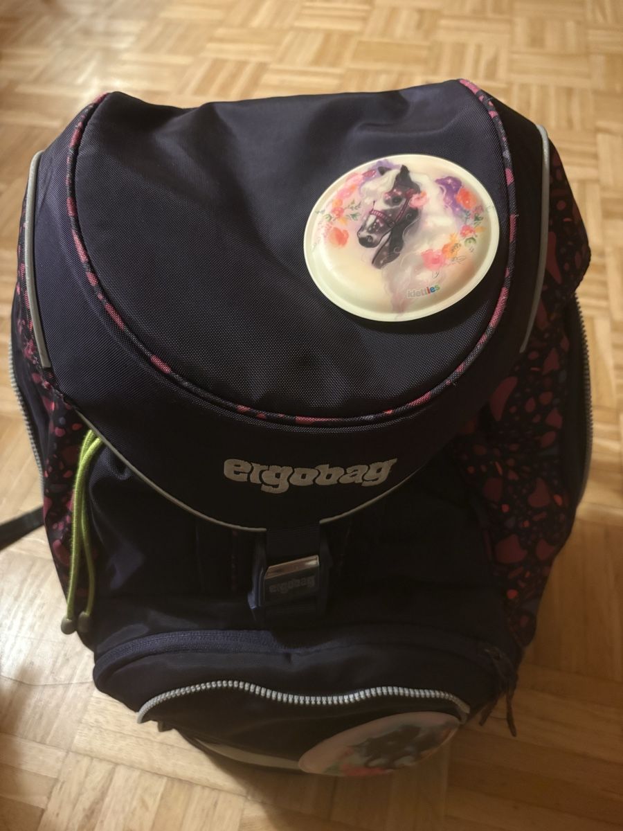 Ergobag Borse & Zaini: Ergobad Schulthek violett  – Usato da Adliswil venduto da JaHaZu 2