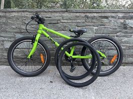 Frog 52 20zoll Kindervelo