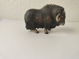 Schleich Moschuochse Wild Life Ochse