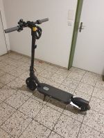 ELEKTRO SCOOTER PRO 25 CH NEU