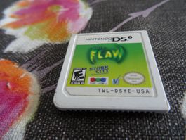 System Flaw US-VERSION DS