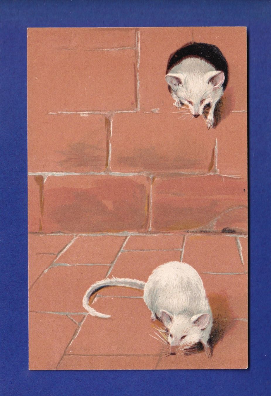 Ansichtskarten: SOURIS - Carte gauffrée – Gebraucht aus Pully von nicecards-shop