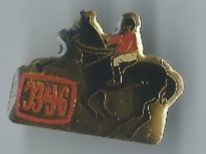 Reiter mit Pferd, Pin