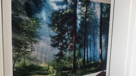Wandbild Flagge Wald
