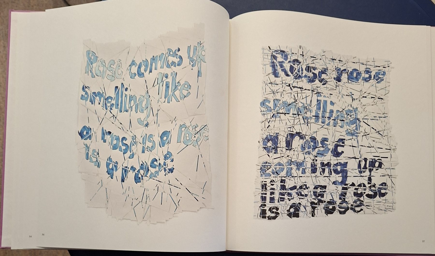 Livres: Roni Horn "Th Rose Prblm" Bildband Steidl 2015 – Neuf (Voir description) à Niederglatt ZH par Siegfried67 8