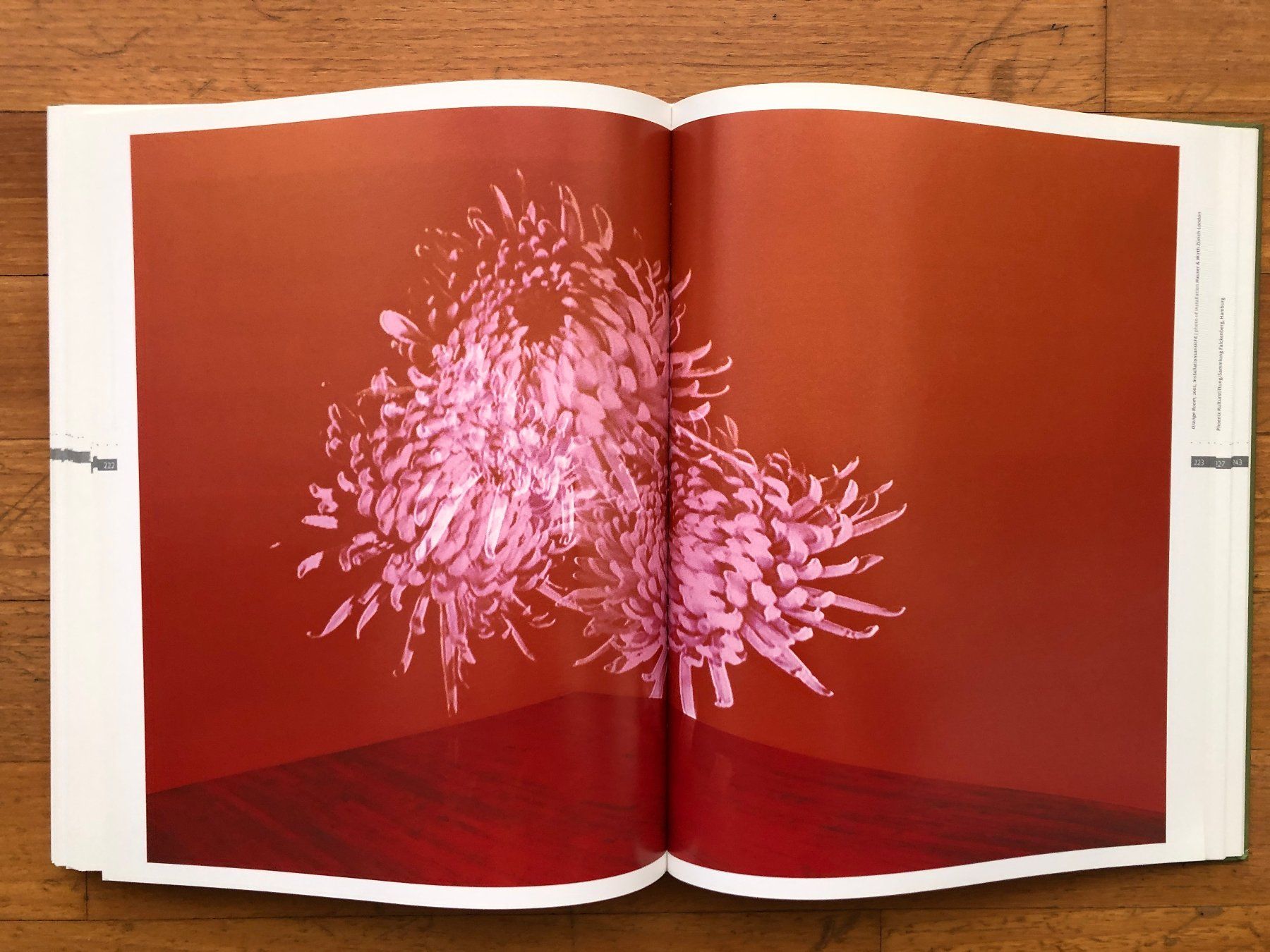 Libri: Kunst Buch: Idyll - Illusion and Delusion – Usato da Lugano venduto da gio.yo 6